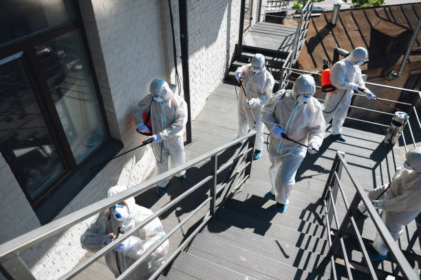 Best Real Estate Mold Inspection  in St Joseph, MN