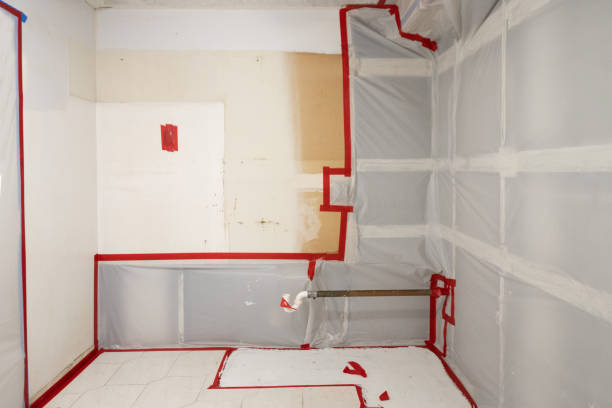 Best Asbestos and Lead Testing During Mold Inspection  in St Joseph, MN