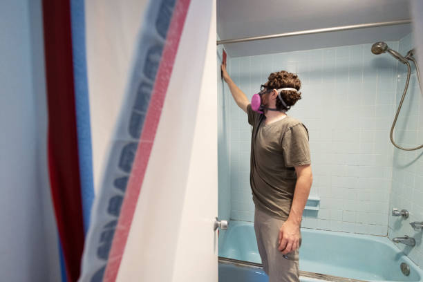 Best Comprehensive Air Testing for Mold Contaminants  in St Joseph, MN