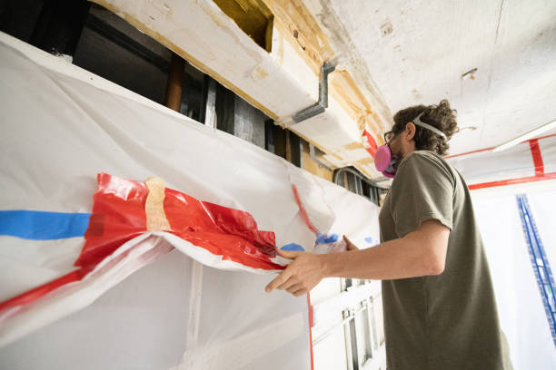 Best Black Mold Removal  in St Joseph, MN