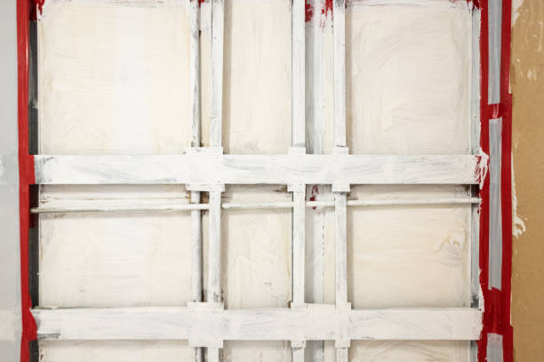 Best Biohazard Mold Removal  in St Joseph, MN